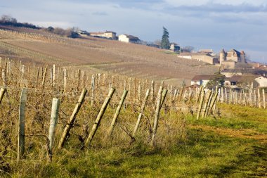 Pouilly, Burgonya, Fransa