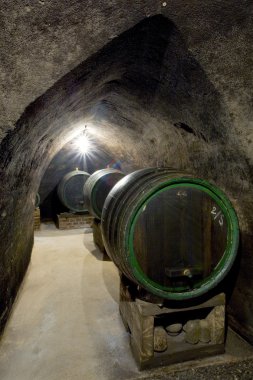 şarap mahzeni, hort şaraphane, znojmo - dobsice, Çek Cumhuriyeti