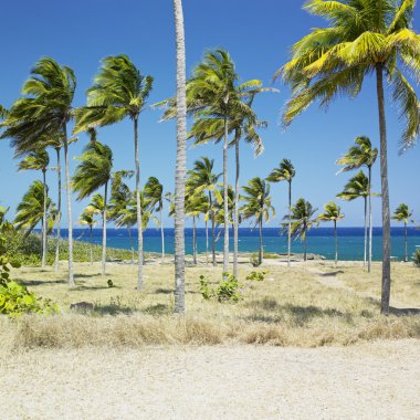 Bahia de Bariay, Holguin Province, Cuba clipart