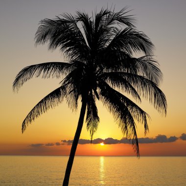 Sunset over Caribbean Sea, Maria la Gorda, Pinar del Rio Province, Cuba clipart