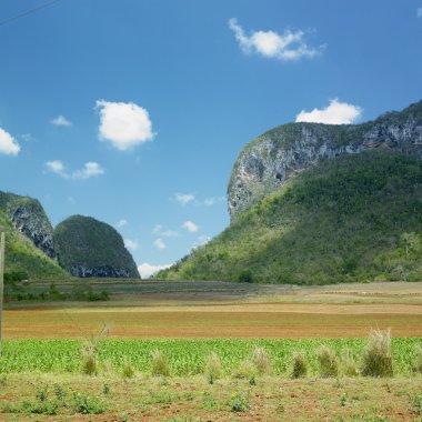 vinales Vadisi'ne pinar del rio eyaletinde, Küba