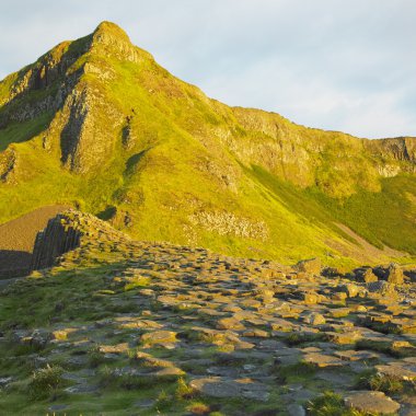 Giant 's Causeway, County Antrim, Kuzey İrlanda