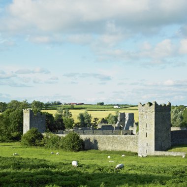 Kells Priory, County Kilkenny, Ireland clipart