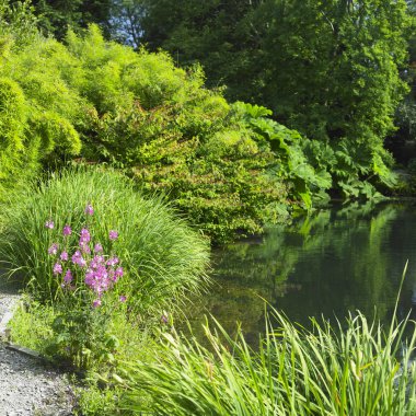 kilmokea gardens, county wexford, İrlanda