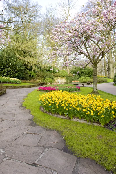 Keukenhof Gardens, Lisse, Nederland — Stockfoto