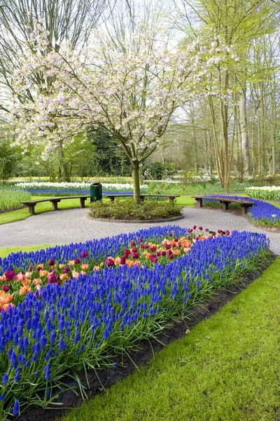 Keukenhof Gardens, Lisse,オランダ — ストック写真