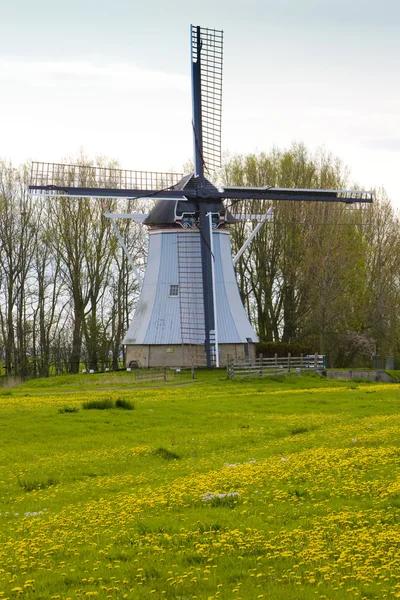 Windmolen in de buurt van Oudkerk, friesland, Nederland — Stockfoto