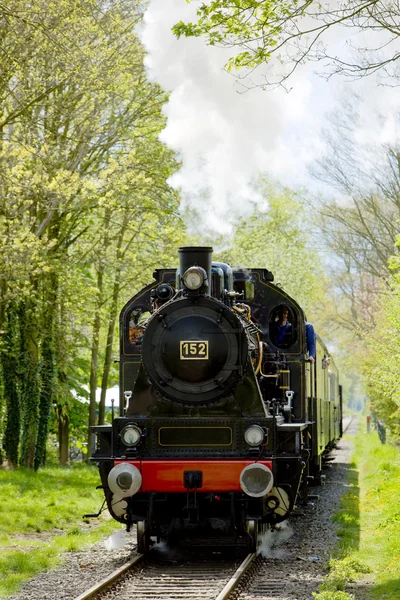 Steam train, Boekelo - Haaksbergen, Netherlands — Stock Photo, Image