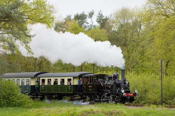 Train à vapeur, Boekelo - Haaksbergen, Pays-Bas — Photo