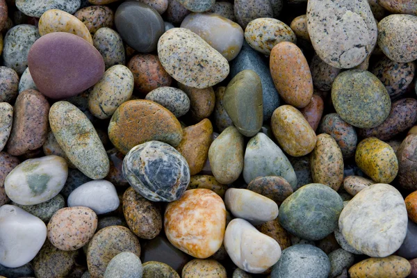 石头 — 图库照片