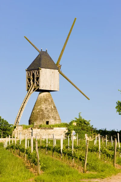 風車とフランス、ペイ ドゥ ラ ロワール ソミュール近くのブドウ園 — ストック写真