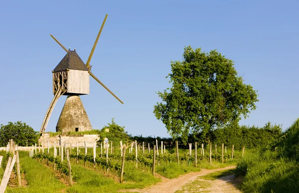 Moinho de vento e vinha perto de Montsoreau, Pays-de-la-Loire, França — Fotografia de Stock