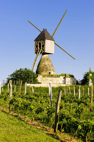 Mulino a vento e vigneto vicino Montsoreau, Pays-de-la-Loire, Francia — Foto Stock