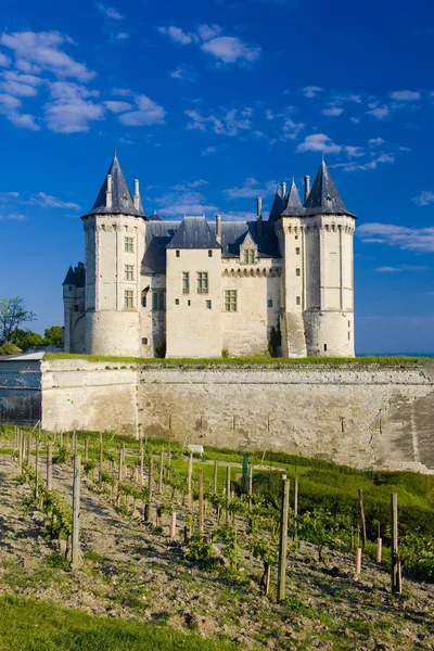 Chateau de saumur, platí de-la-loire, Francie — Stock fotografie