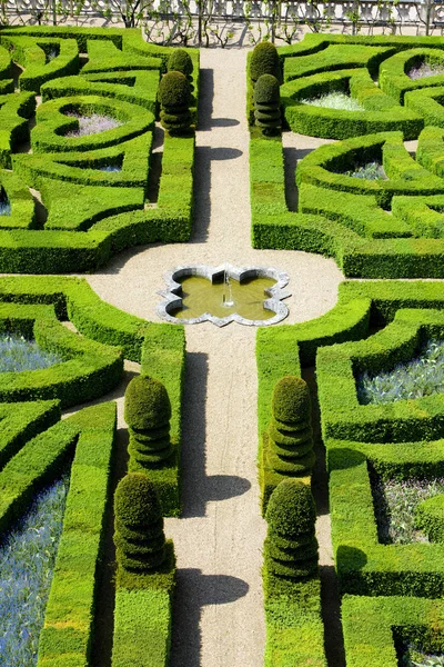 Zámku Villandry zahradní, indre-et-loire, centrum, Francie — Stock fotografie