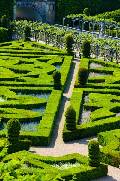 Garten des Schlosses von Villandry, indre-et-loire, Zentrum, Frankreich — Stockfoto