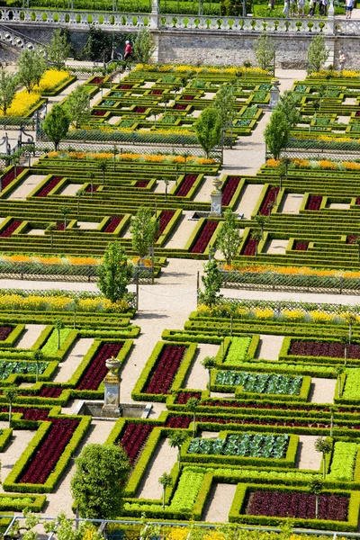 Villandry Castle's garden, Indre-et-Loire, Centre, France — Stock Photo, Image