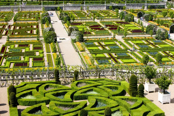 Κέντρο κήπων, indre-et-loire, του Villandry κάστρου, Γαλλία — Φωτογραφία Αρχείου