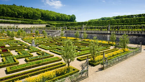 Zamek w Villandry ogród, indre-et-loire, centrum, Francja — Zdjęcie stockowe