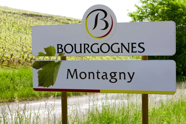 Cote chalonnaise bölge, montagny les buxy, burgund üzüm bağları — Stok fotoğraf