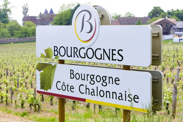 Üzüm bağları, cote chalonnaise bölge, Burgonya, Fransa — Stok fotoğraf