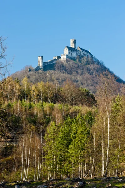 Bezdez замок, Чеська Республіка — стокове фото