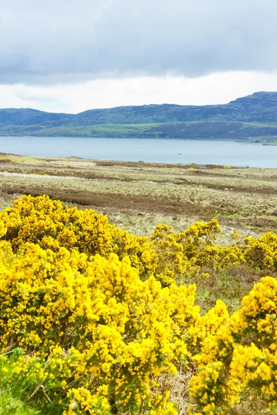 スコットランドの高地、湖 eriboll — ストック写真