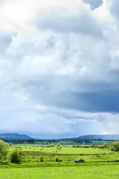 Landschaft von Strathspey Tal, Hochland, Schottland — Stockfoto