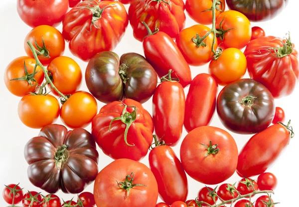 Bodegón de tomates — Foto de Stock