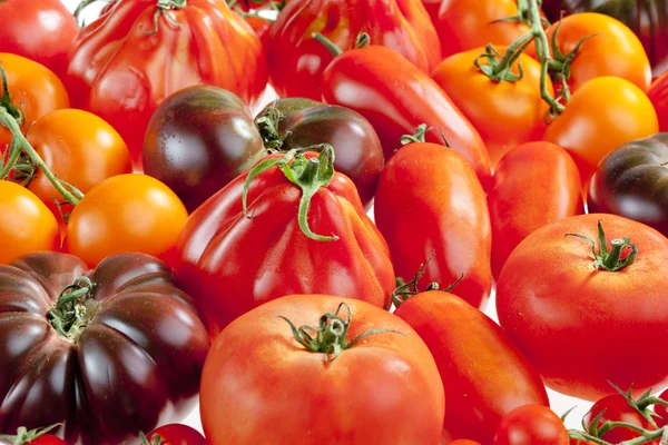Martwa natura z pomidorów — Zdjęcie stockowe