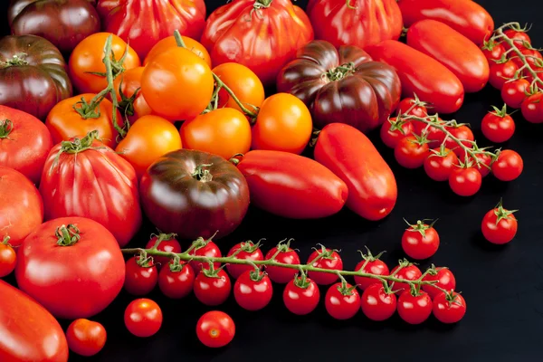 Martwa natura z pomidorów — Zdjęcie stockowe