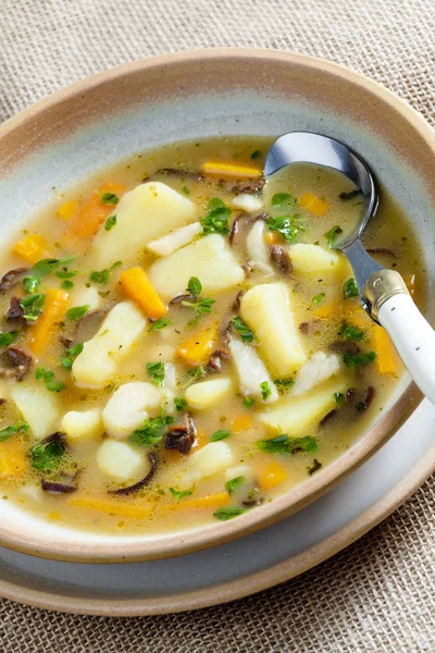 Bramborová polévka — Stock fotografie