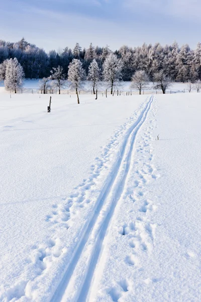 Paisagem de inverno, República Checa — Fotografia de Stock