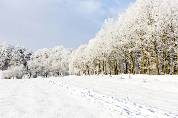 Paysage d'hiver, République tchèque — Photo
