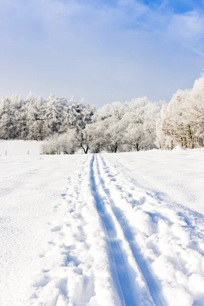 Kış manzarası, Çek Cumhuriyeti — Stok fotoğraf