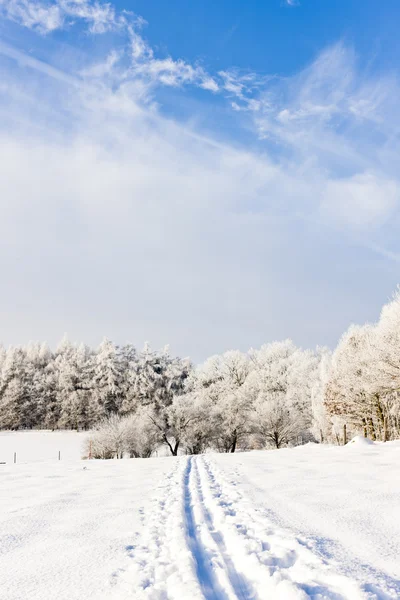 Paisagem de inverno, República Checa — Fotografia de Stock