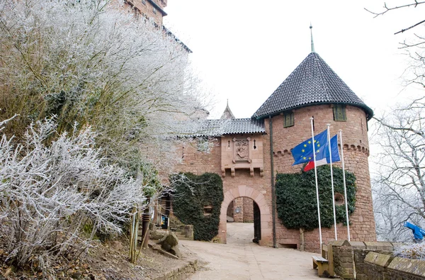 Haut-Königsbourg Kalesi, alsace, Fransa — Stok fotoğraf