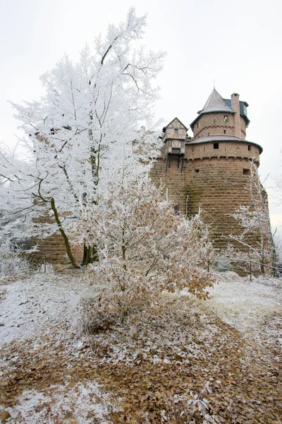 法国的阿尔萨斯，奥 koenigsbourg 城堡 — 图库照片