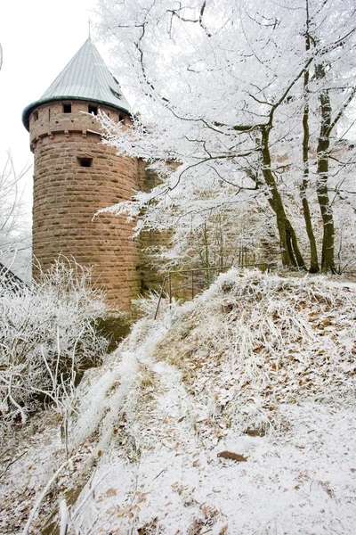 Haut-Koenigsbourg Castle, Alsace, France — Stock Photo, Image