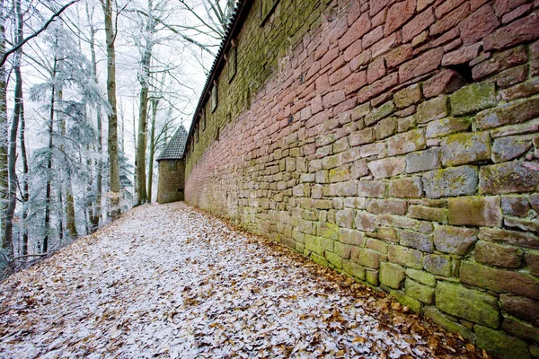 Haut-Königsbourg Kalesi, alsace, Fransa