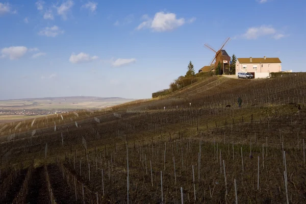 Moinho de vento e vinha perto de Verzenay, região de Champagne, Borgonha, França — Fotografia de Stock