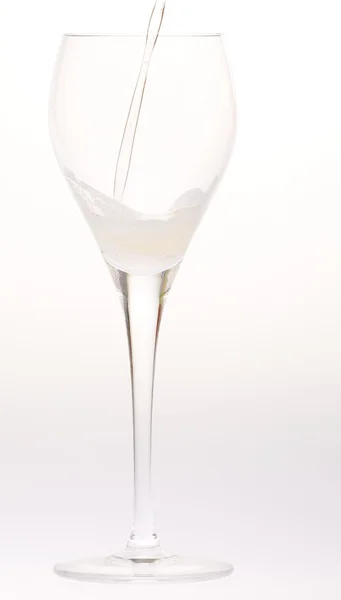 Wine glass of champagne — Stock Photo, Image