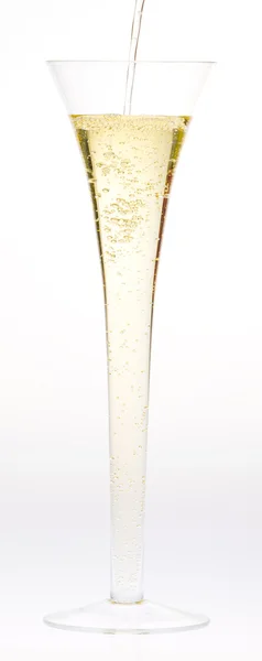 Wine glass of champagne — Stock Photo, Image
