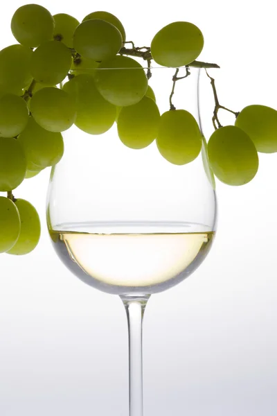 Vinho com vinho branco e uva — Fotografia de Stock