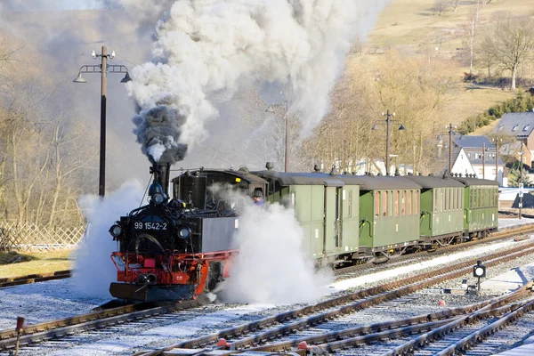 蒸汽火车，斯坦贝奇-约施塔特，德国 — 图库照片
