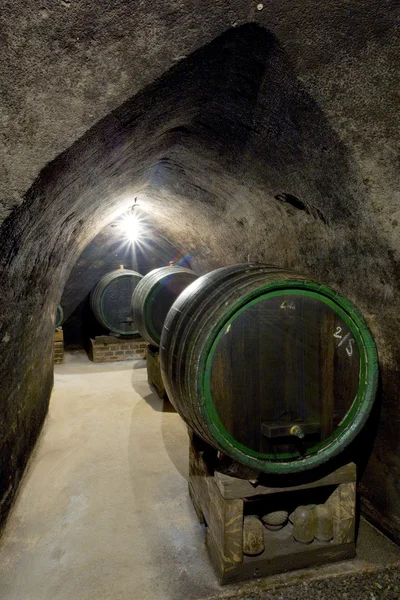 Wine cellar, Hort Winery, Znojmo - Dobsice, Czech Republic — Stock Photo, Image