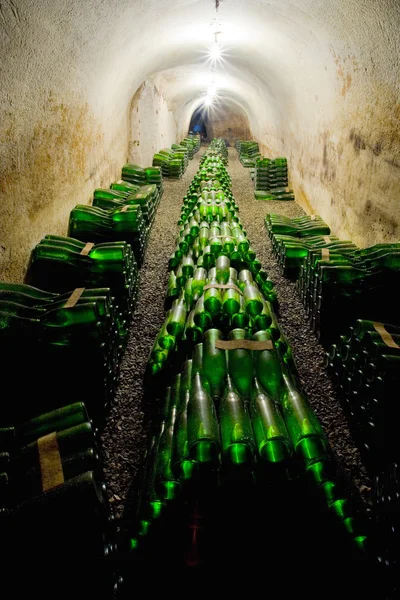 Archivo de vinos, Bodega Hort, Znojmo - Dobsice, República Checa — Foto de Stock