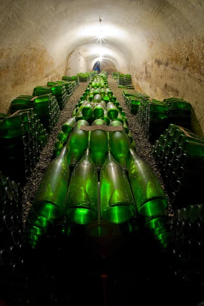 Arquivo de vinhos, Hort Winery, Znojmo - Dobsice, República Checa — Fotografia de Stock