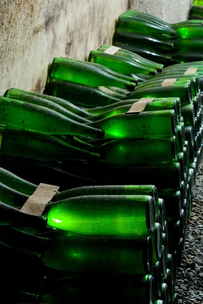 Şarap arşiv, hort şaraphane, znojmo - dobsice, Çek Cumhuriyeti — Stok fotoğraf