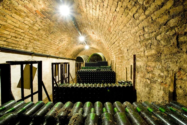 Şarap arşivi, şarap mahzeni jaroslavice, Çek Cumhuriyeti — Stok fotoğraf